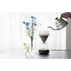 Hario V60 Drip-Assist Set