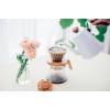 Hario V60 02 Cam Dripper Olive Wood